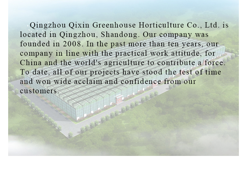 PO Single Layer Greenhouse for Agriculture Boost Agricultural Production