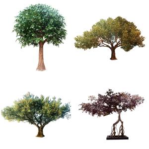 China 350cm Artificial Landscape Trees , Fake Maple Tree All Season on sale
