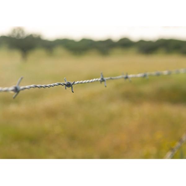 Use Of Prison Walls Double Strand Traditional Twist Electro Barbed Wire Coils