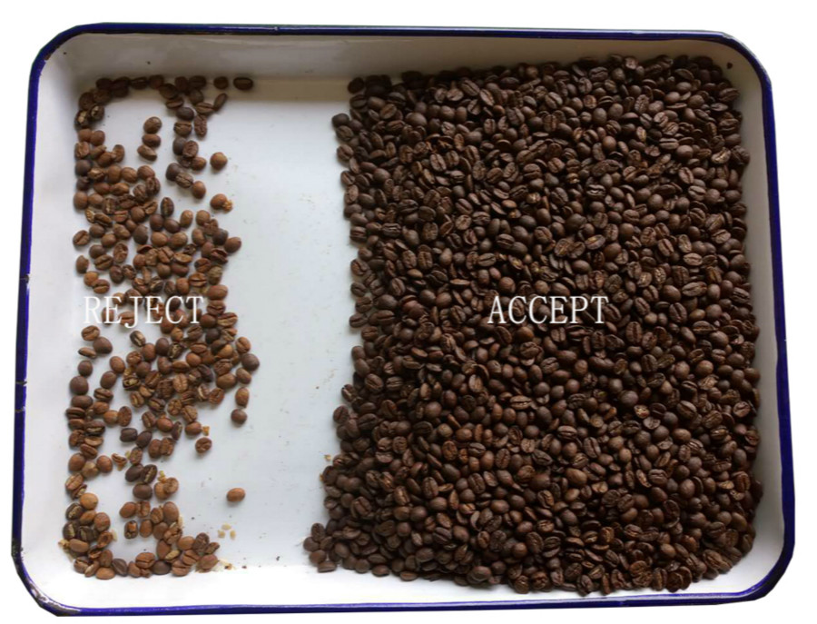 Optical Bean sorting machines CCD Six Chutes Bean Color Sorter