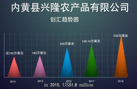 Chilli Ring Chaotian Hot Chili 40000 SHU 25kg/ctn Neihuang Xinglong Agricultural Co. Lt