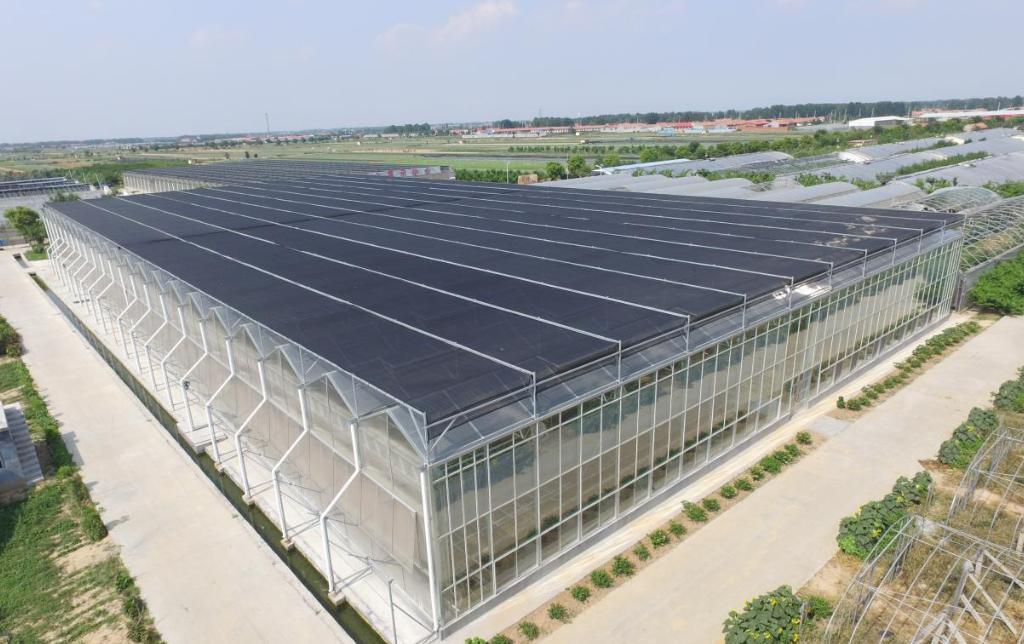 Reefer Container Greenhouse Leafy Vegetables