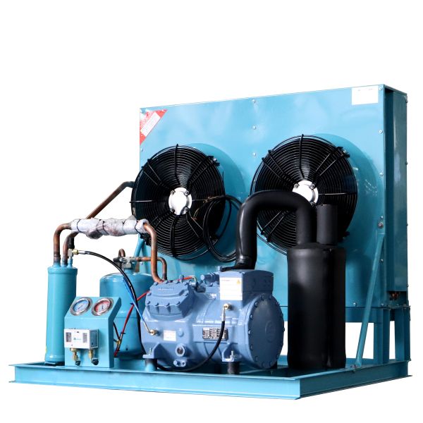 High-Value Air-Cooled Automatic Scroll Compressor Low Price Condensing Unit Motor for All-Condition Local Cold Storage Community