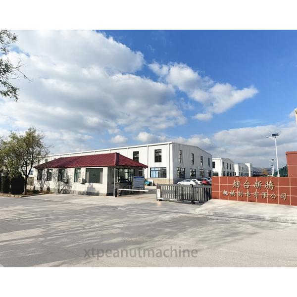 Automatic Stainless Steel Nut Coating Machine for Peanuts Almonds Cashews