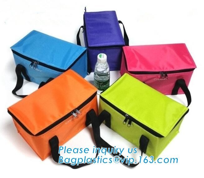 Customized logo printing insulated food delivery cooler bag,wholesale waterproof food delivery thermal bags bagplastics