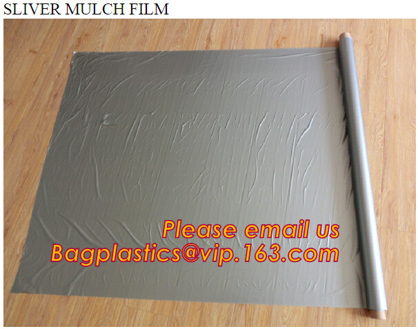 HOTICULTURAL MULCH FILM,AGRICULTURAL PE FILM,MARKET GARDENERS CLOCHE FILM,PE FILM FOR CORN,PLASTIC FILM COVER,TOMATO COV