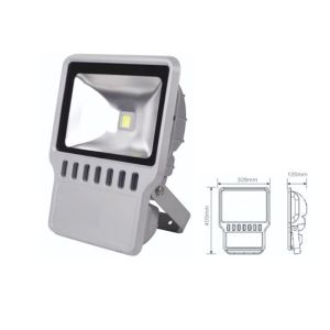 China IP65 high power 50W led floodlight wholesale
