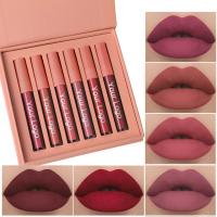 China Beauty Long Lasting Lipstick Velvet Lip Gloss Set For Girls for sale