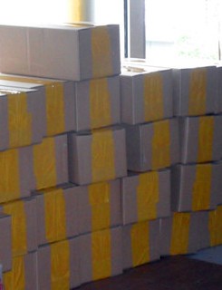 250VDC Surge Protector Ethernet Emi Rfi Suppression Filter