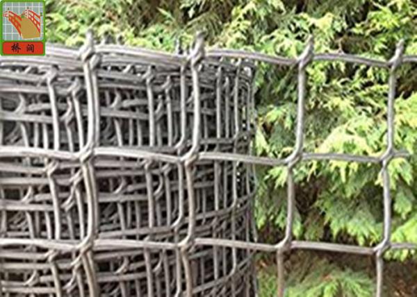 Quality Garden Mesh Netting for Climbing Plant Support Hole Open 19 mm 0.5 Meters Wide for sale