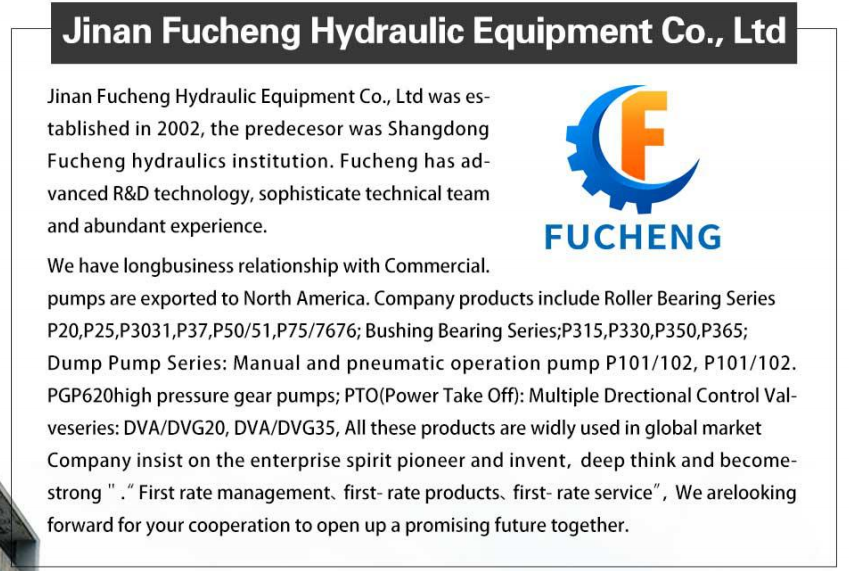 VA20/VA35/VG20/VG35 Series Cast Iron Control Valves for Heavy Duty Hydraulic Power Tongs