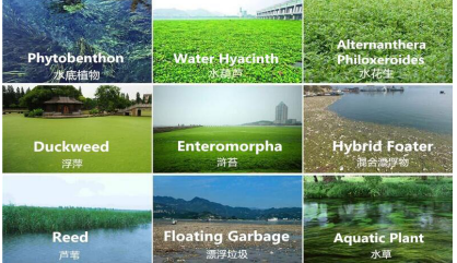 2000m2 5m3 Aquatic Weed Harvester Weed Cutting Machine