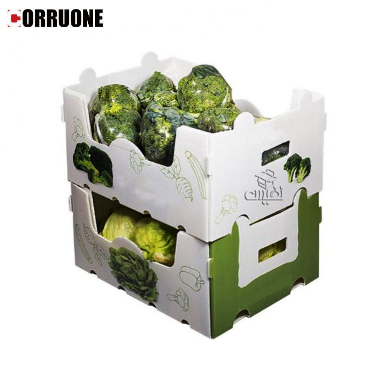 Asparagus Corrugated Plastic Produce Boxes Food Grade Black White