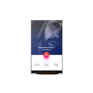 China ROHS 3.97Inch 480X800 RGB Interface IPS TFT LCD Display wholesale