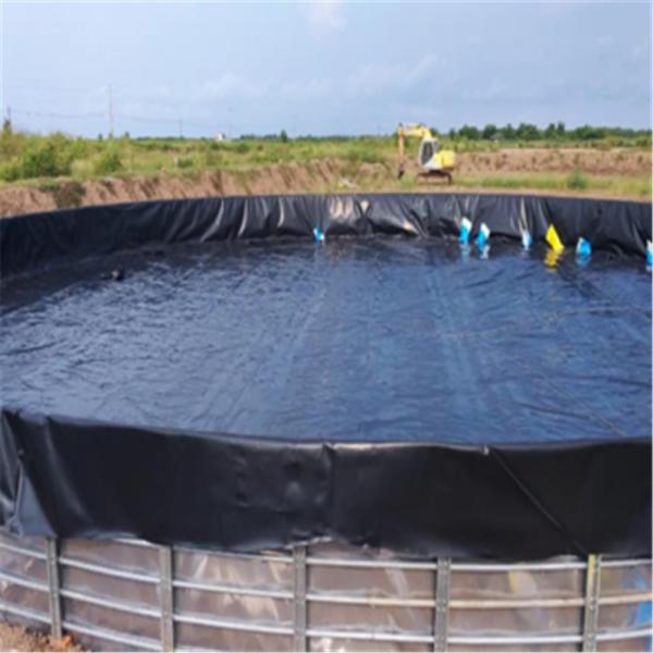 Quality 0.2mm-3mm Thickness HDPE Geomembrane for Pond Liner and Biofloc Tank for sale