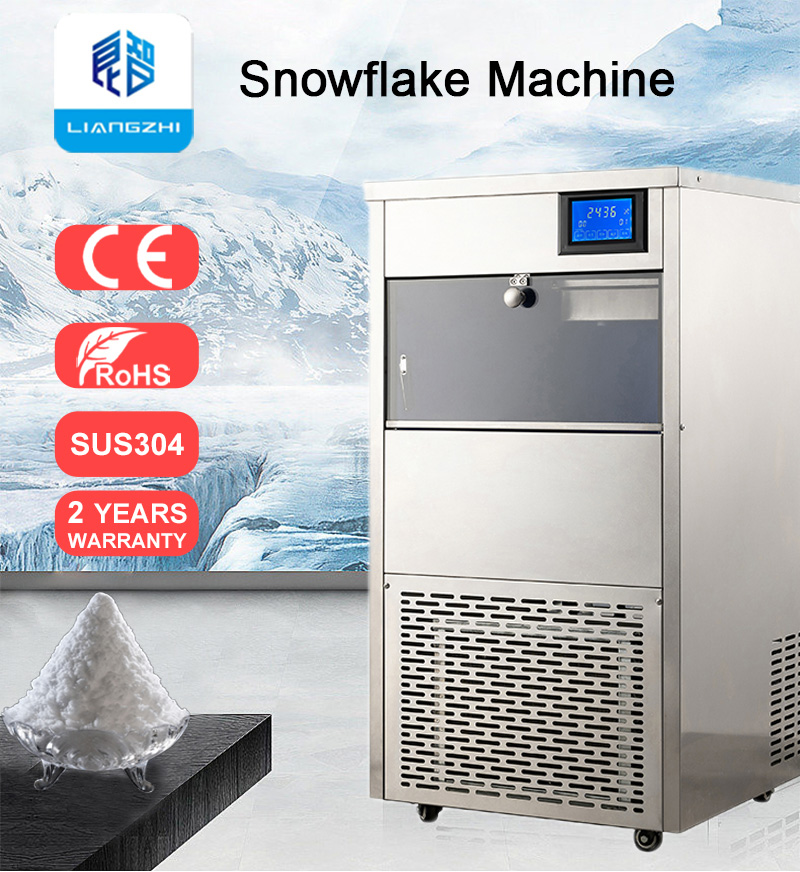 Easy to Operate 60Kg Per Day LZ-120 Automatic Control Flake Ice Machine with Ice Storage
