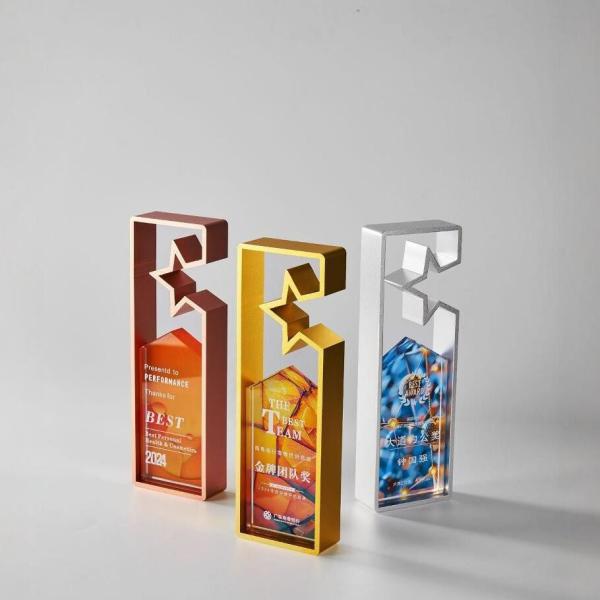 Custom Shape Acrylic Trophy Award Plaque Authorization for Company Annual Conference and Employee Prize