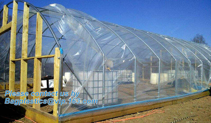 HOTICULTURAL MULCH FILM,AGRICULTURAL PE FILM,MARKET GARDENERS CLOCHE FILM,PE FILM FOR CORN,PLASTIC FILM COVER,TOMATO COV