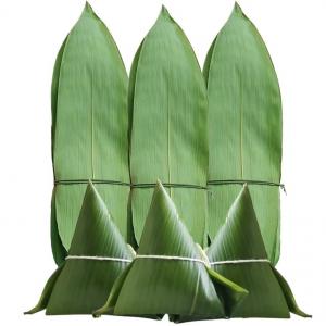 China 5-7cm Plate Decorative Accessory Vacuum Packed Fresh Bamboo Leaves for Sashimi wholesale