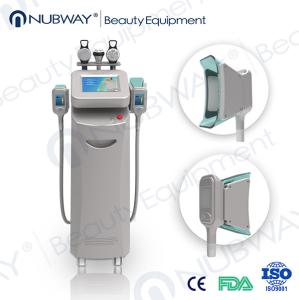 Newest good sale cryolipolysis cool shape cavitation cryotherapy machine factory price
