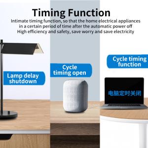 Wi Fi Enabled Homekit Smart Socket Timing Scheduling Device