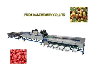 China dates cleaning drying grading machine, dates sorting machine wholesale