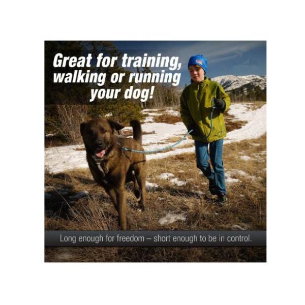 Padded Handle Dog Training Leash Strong Medium Large Size With Multiple Colors