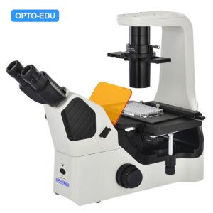 China OPTO EDU A16.1063 LED Inverted Fluorescence Microscope on sale
