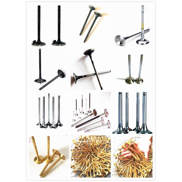 Engine Valves WL51 12111 For Mazda B2500