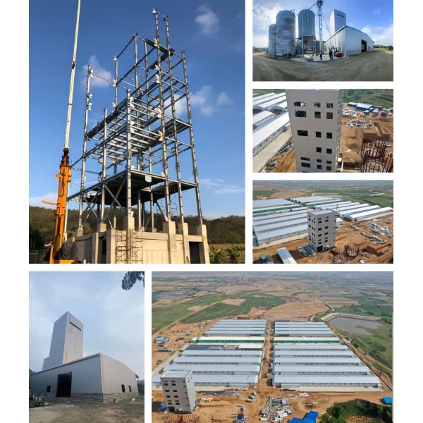 Customized Light Steel Frame House , Galvanized Steel Poultry House