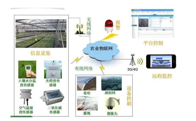 Reefer Container Greenhouse Leafy Vegetables