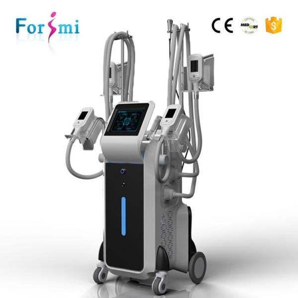 Quality 10.4 inch touch screen freezing fat cells cost sculpting Cryolipolysis Fat freeze Slimming Machine for sale