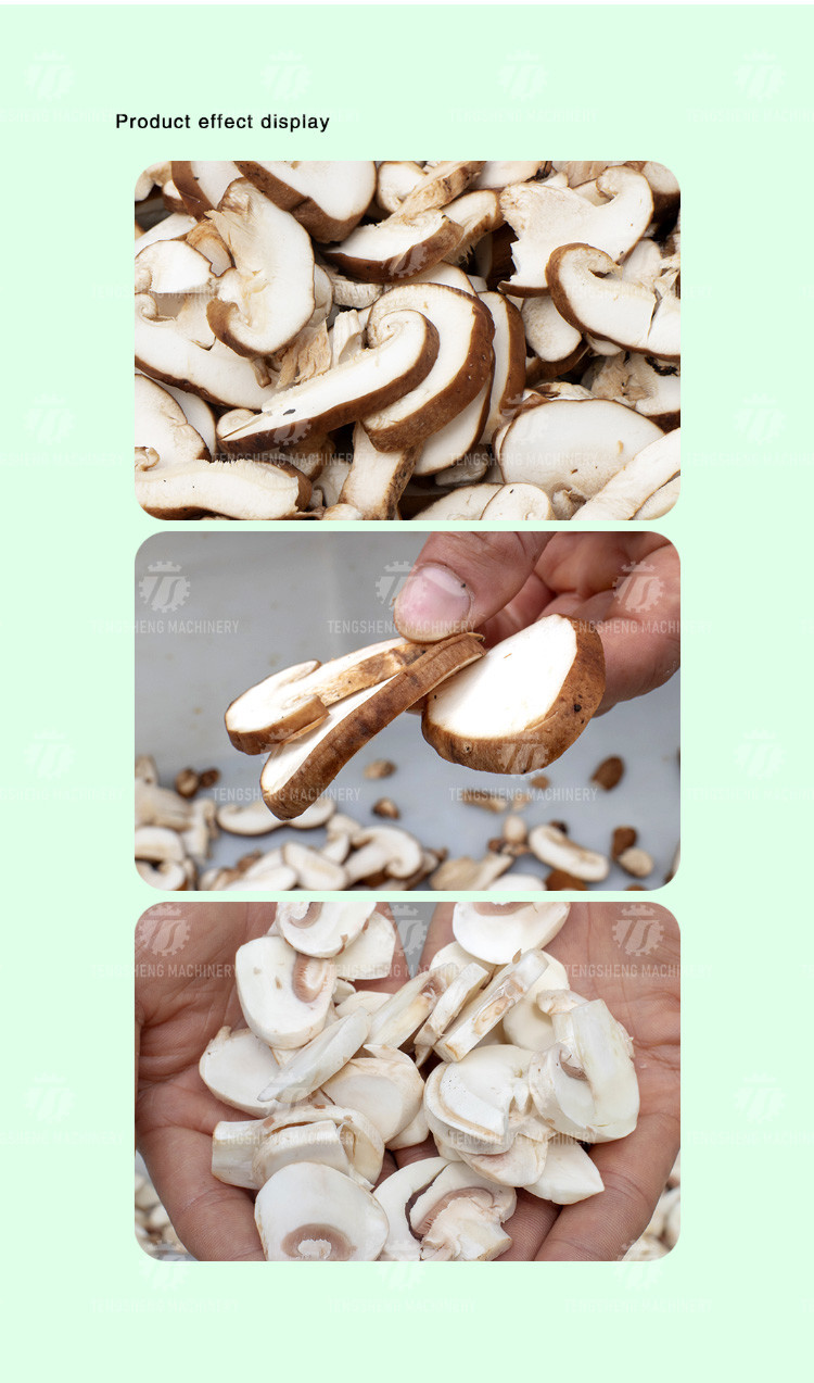 Professional cutting mushroom slice mushroom cutting processing equipment mushroom slicer