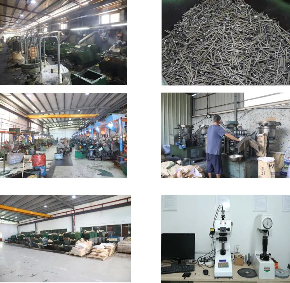 Stainless Steel Plated Carbon Steel DIN571 Hex Head Wood Screw