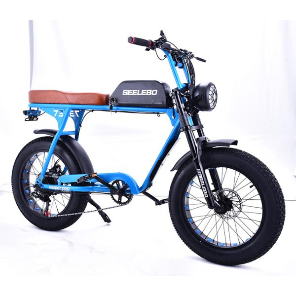 Digital Ebike Hub Motors Bicycle Electric Fat Tire Bike 7speed MTB E-bike Retro Electric Cycle 48V 500W 4.0 Inch Tire E Bike