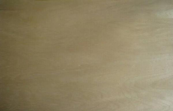 Quality Natural Rotary Cut Birch Veneer For MDF , Chipboard and Block Board for sale