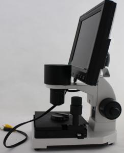 Professional Microcirculation Microscope / Nailfold Capillary Microscopy with CCD Video Camera