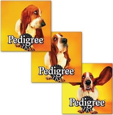 Quality PLASTIC LENTICULAR lenticular flip 3d business cards custom lenticular business cards printing for sale