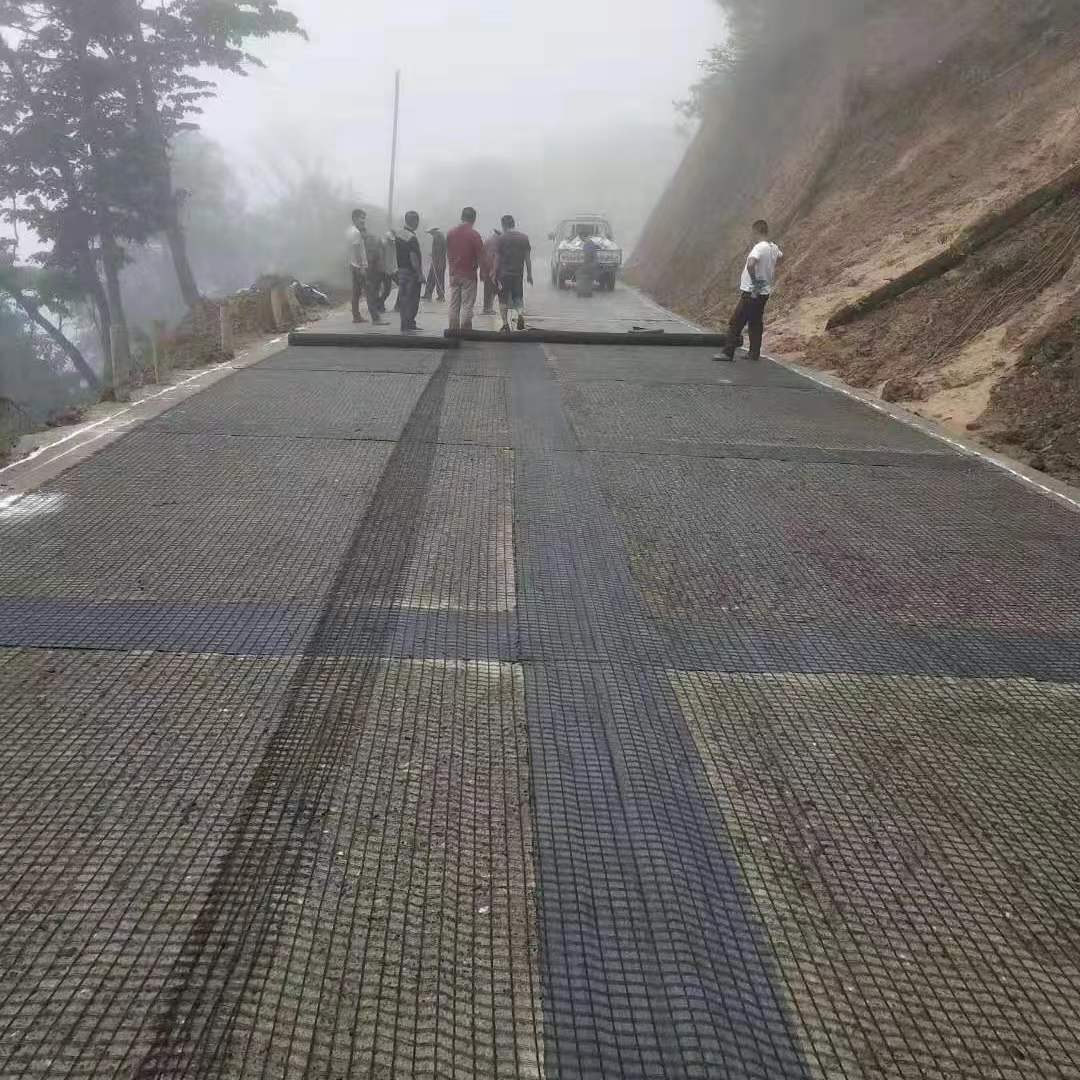 Type Reinforcement Fiberglass Geogrid for Modern Project Design from Mesh Tenglu