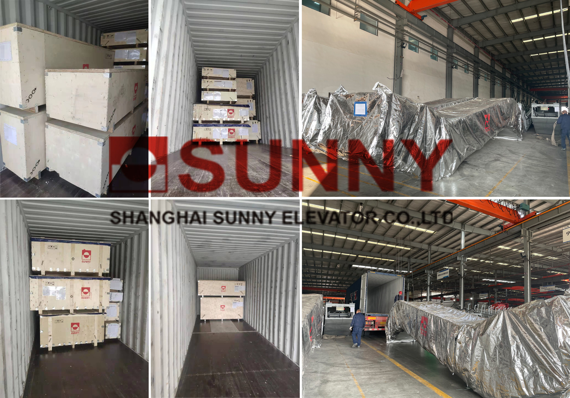 Rise 6000mm Rubber Handrails Indoor VVVF Moving Walk Escalator With Aluminum Alloy Comb Board