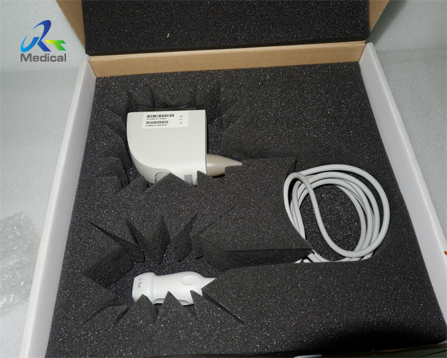 Phased Array Ultrasound Probe Transducer Siemens X300 X300PE P5-1