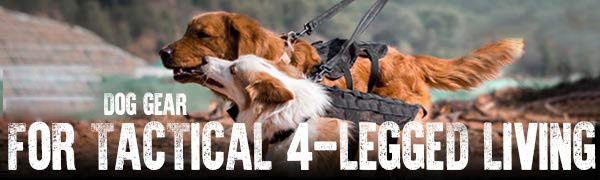 Premium Quality Strong and Sturdy Waterproof Dog Backpack Dog Bag