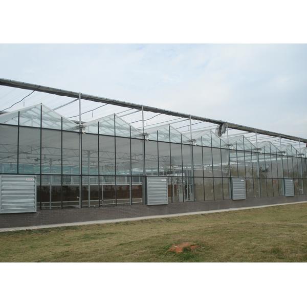 High Transmittance, Weld-Free VENLO Greenhouses For Premium Crop Seedlings & Growth