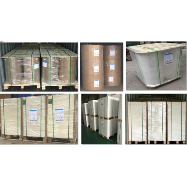 Single wall cup material 15gsm PE Plastic Coating Surface White Paper sheets