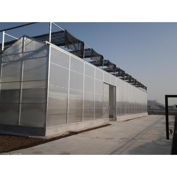 8.0m Pc Sheet Multi Span Polycarbonate Greenhouse For Farm