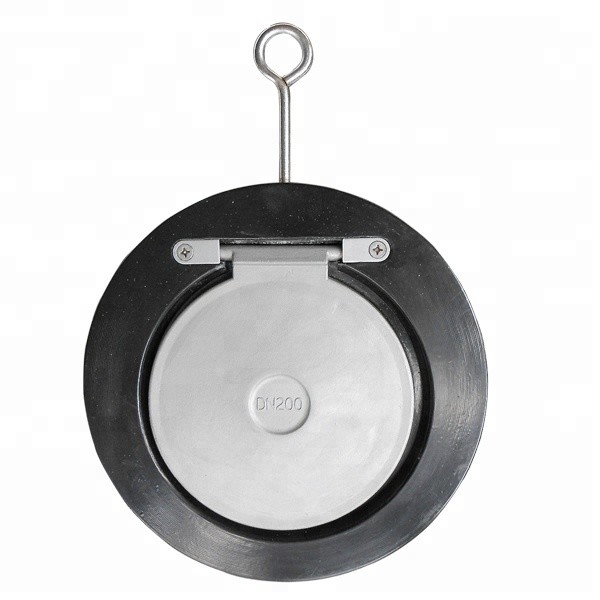 China PN 25 Stainless Steel SS316 Single Swing Check Valves wholesale