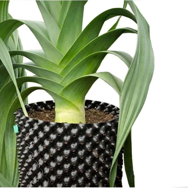 Metal Shiny Plastic Flower Pot with Saucer Together Chinese Style