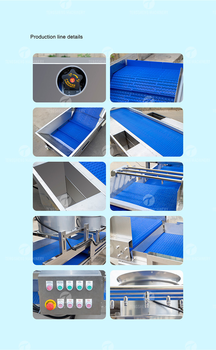 Automatic Fruit And Vegetable Processing Line Selection Washing Drying