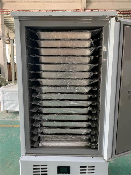 SINUOLAN Meat Blast Freezer Beef Chicken Fish Blast Chiller Freezer Deep Frozen Machine For Sale