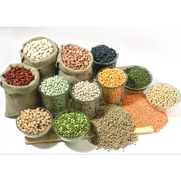 80-120 Kg/H Nuts Processing Machine Cashew Peanut Cocoa Bean Roasting Machine